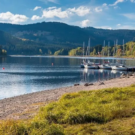La Maison Boutique Design * Titisee-Neustadt